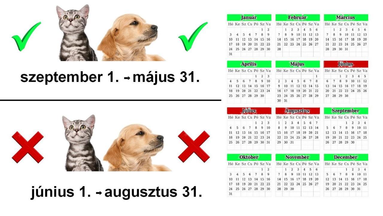 Vadaszles Vendeghaz Bukkszentmarton 外观 照片