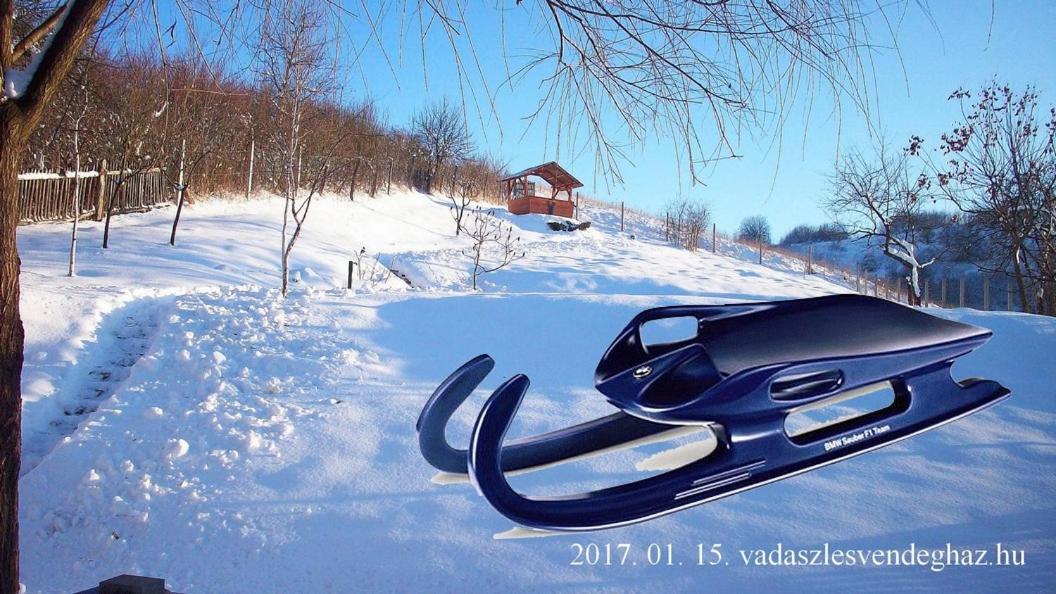 Vadaszles Vendeghaz Bukkszentmarton 外观 照片